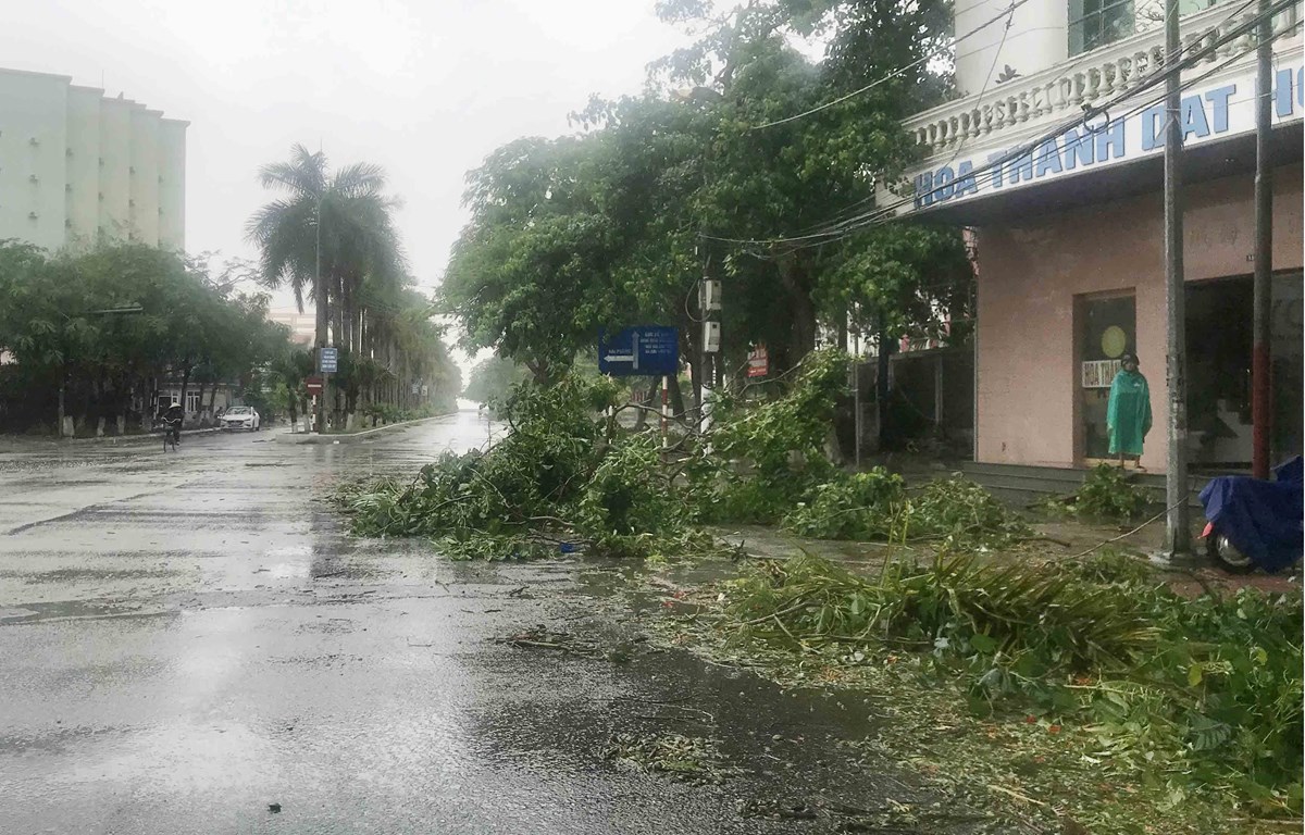 Cành cây gẫy đổ do bão số 2 tại khu I Đồ Sơn, Hải Phòng. (Ảnh: An Đăng/TTXVN)