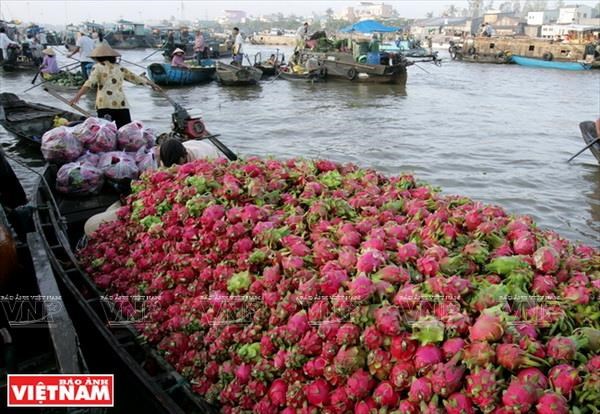 Tăng cường liên kết, đổi mới sản phẩm thu hút du khách đến ĐBSCL
