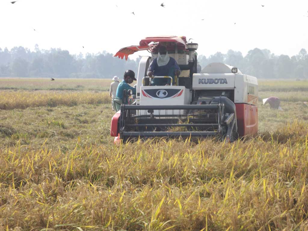 Cơ giới hóa trong nông nghiệp mang lại hiệu quả cao Sử dụng máy trong gieo sạ và thu hoạch mang lại hiệu quả