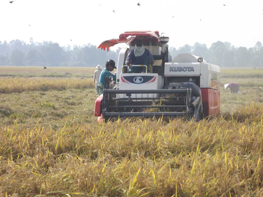 Using the machine in harvesting crops brings effectiveness