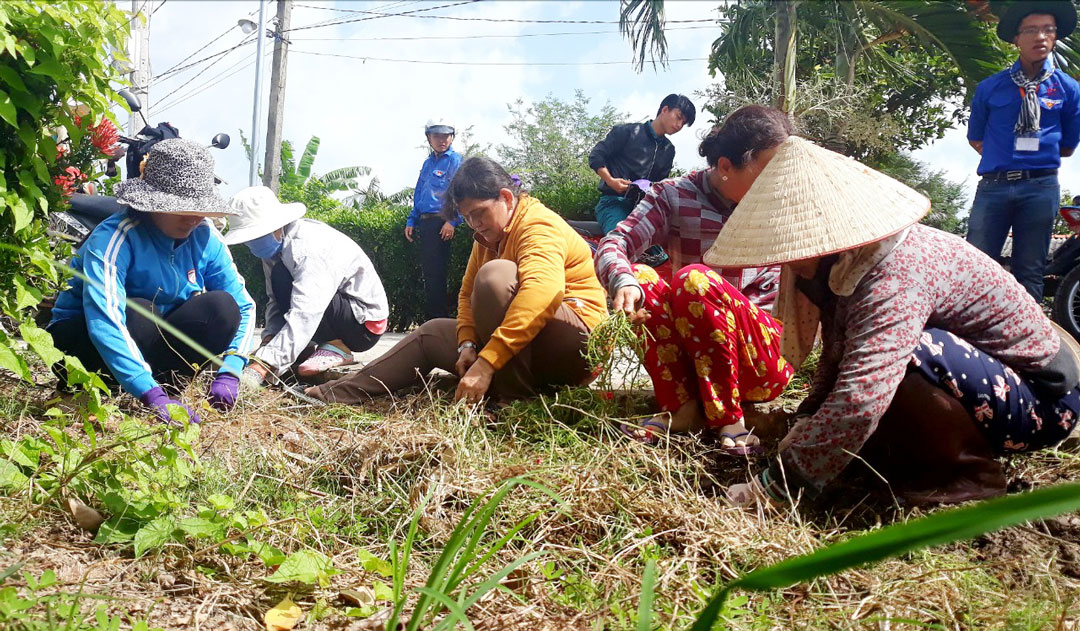 Hưởng ứng các phong trào thi đua, người dân thành phố chung tay xây dựng cảnh quan môi trường xanh, sạch, đẹp