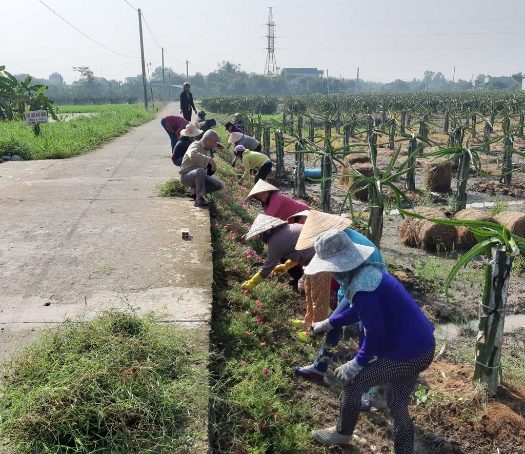 Bình Tâm: Nhiều đổi thay từ chương trình xây dựng nông thôn mới