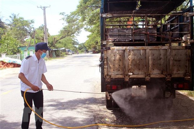 Lực lượng chức năng phun thuốc sát trùng phương tiện vận chuyển lợn qua địa bàn. (Ảnh: Công Thử/TTXVN)