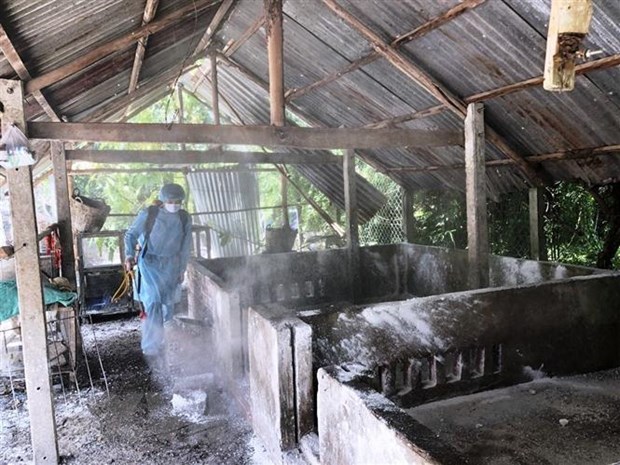 Dịch tả lợn châu Phi vẫn tiếp tục diễn biến phức tạp Cán bộ thú y huyện Châu Thành, Tây Ninh tiêu độc, sát trùng chuồng lợn bị bệnh dịch. (Ảnh: Lê Đức Hoảnh/TTXVN)