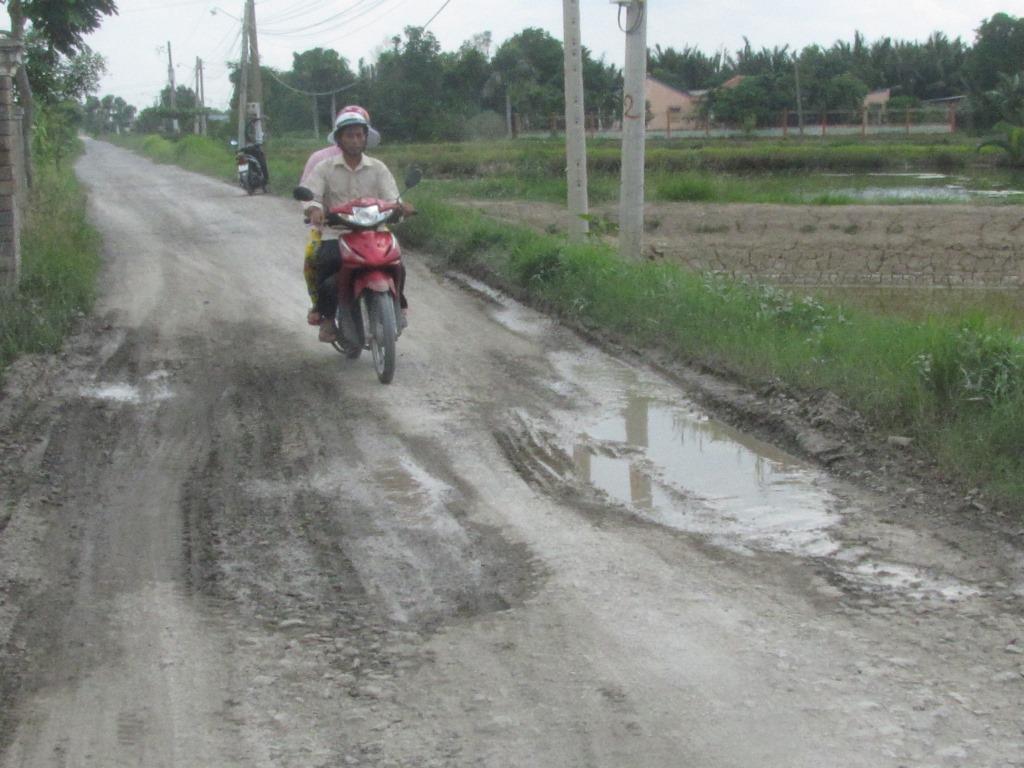 Nhiều đoạn đường đê xuống cấp đọng nước.