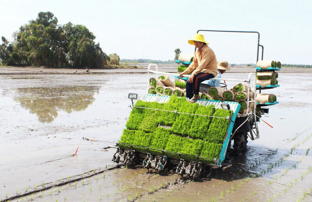 Tập trung áp dụng khoa học - kỹ thuật vào sản xuất, nâng cao chất lượng hàng hóa nông sản