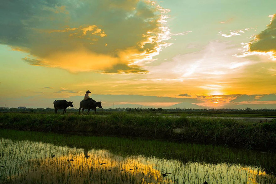 Đường về nhà luôn là nơi để trở về bên gia đình và người thân. Hãy cùng nhìn những hình ảnh về đường về nhà để tìm lại sự ấm áp và sung sướng khi trở về với mái ấm của mình.