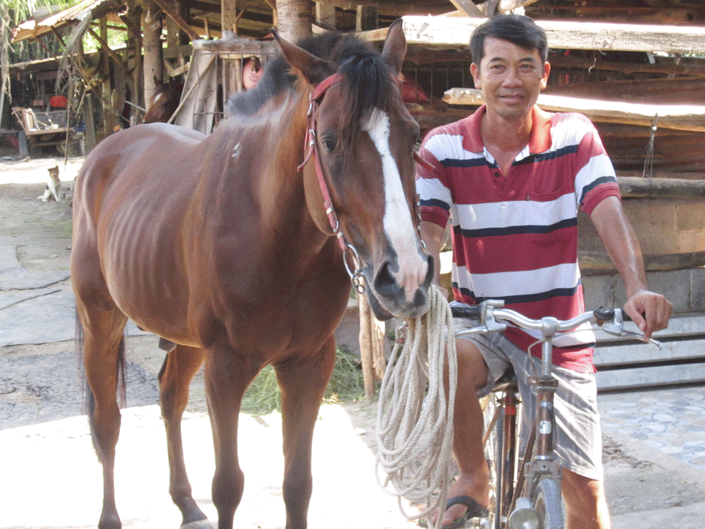 Anh Huỳnh Văn Lào dắt ngựa đi ăn