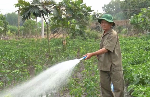 Cựu thanh niên xung phong thi đua phát triển kinh tế. Ảnh minh họa