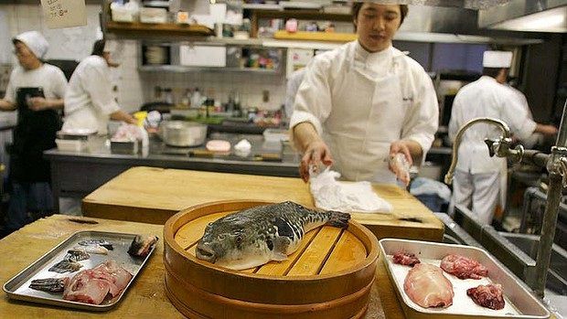 Có thể gây chết người, tại sao cá Nóc vẫn nằm trong số những món ăn đắt đỏ bậc nhất?
