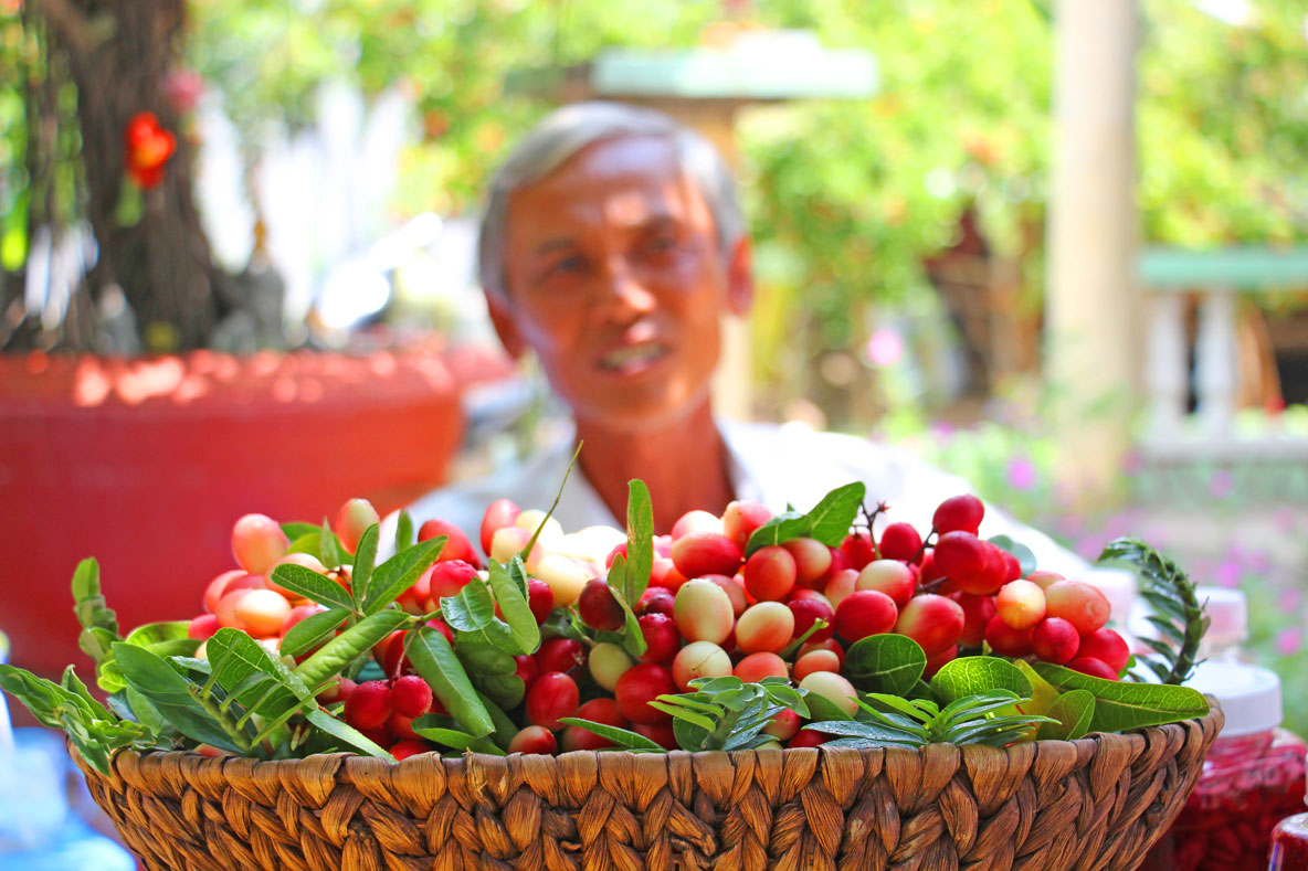 Ông Vũ chuẩn bị sẵn một giỏ đầy trái siro cho du khách chụp ảnh