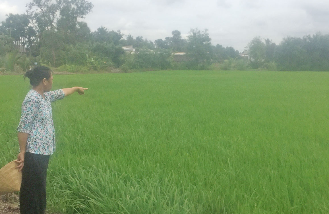 Thỏa thuận bằng miệng khi mua bán đất, anh em ruột kiện nhau ra tòa Bà Phạm Thị Xoài (vợ ông nhành) chỉ về hướng thửa đất 608, cho rằng UBNd huyện Tân Trụ đã cấp sai quyền sử dụng đất