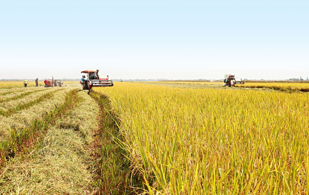 Vĩnh Hưng: Kết quả và định hướng phát triển, nâng cao hiệu quả sản xuất từ Dự án VnSAT