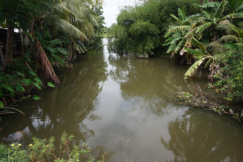 Rạch Cầu Ngang cung cấp nước tưới cho hàng trăm ha trồng lúa, hoa màu của các xã Bình Thạnh, Nhị Thành, huyện Thủ Thừa.