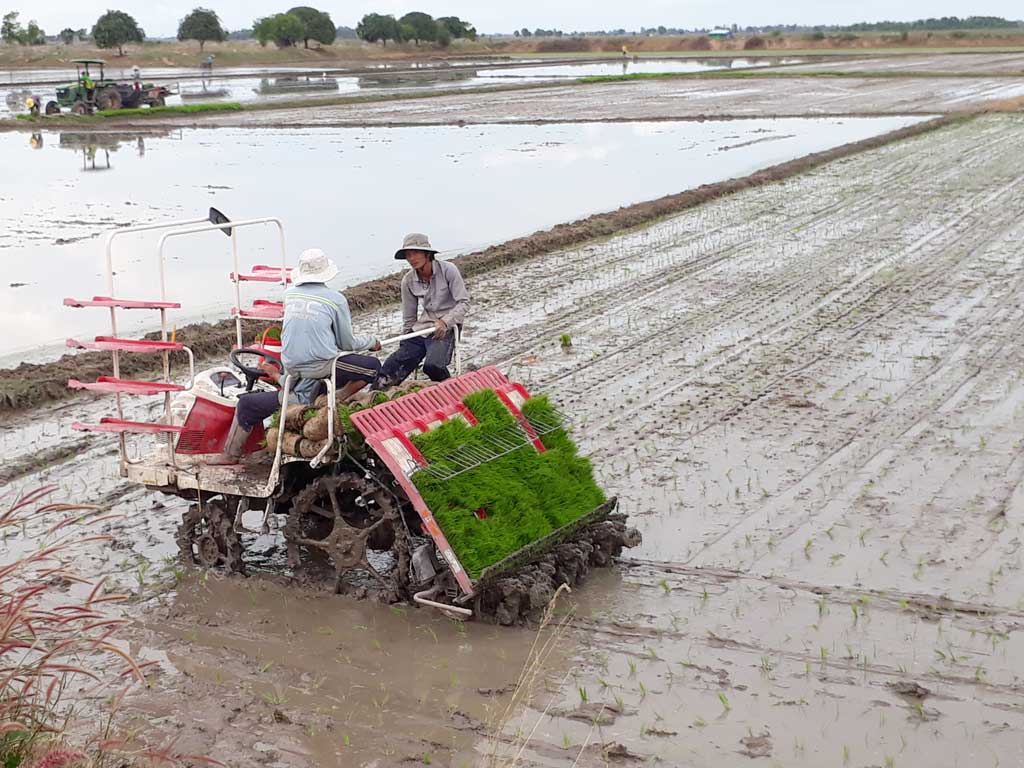 Vĩnh Hưng: Tập trung hoàn thành các chỉ tiêu Nghị quyết năm 2019