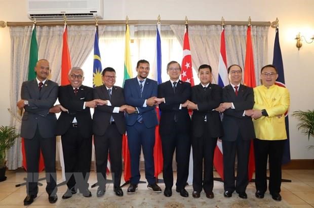 ASEAN’s 52nd anniversary observed worldwide Celebration in South Africa (Photo: VNA)