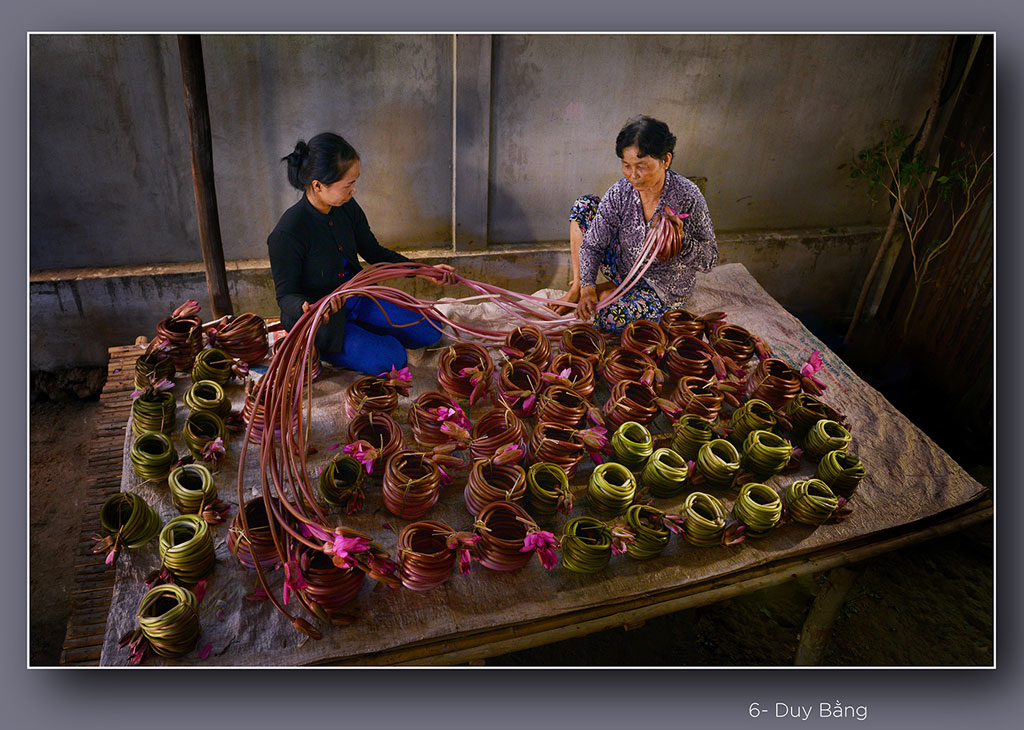 Water Lily Flowers in harvest season Preparation for the early morning market