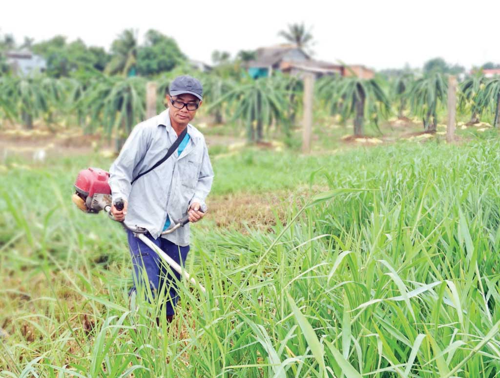 Những đồng vốn nghĩa tình