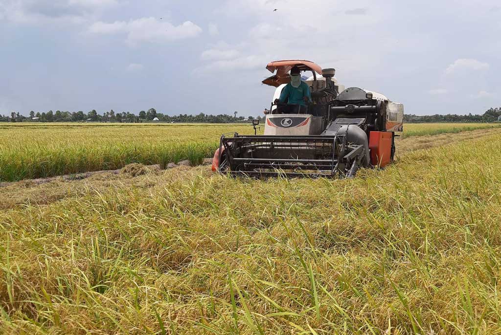 Vĩnh Hưng: Huy động các nguồn lực đầu tư xây dựng nông thôn mới Tập trung thực hiện tái cơ cấu ngành nông nghiệp