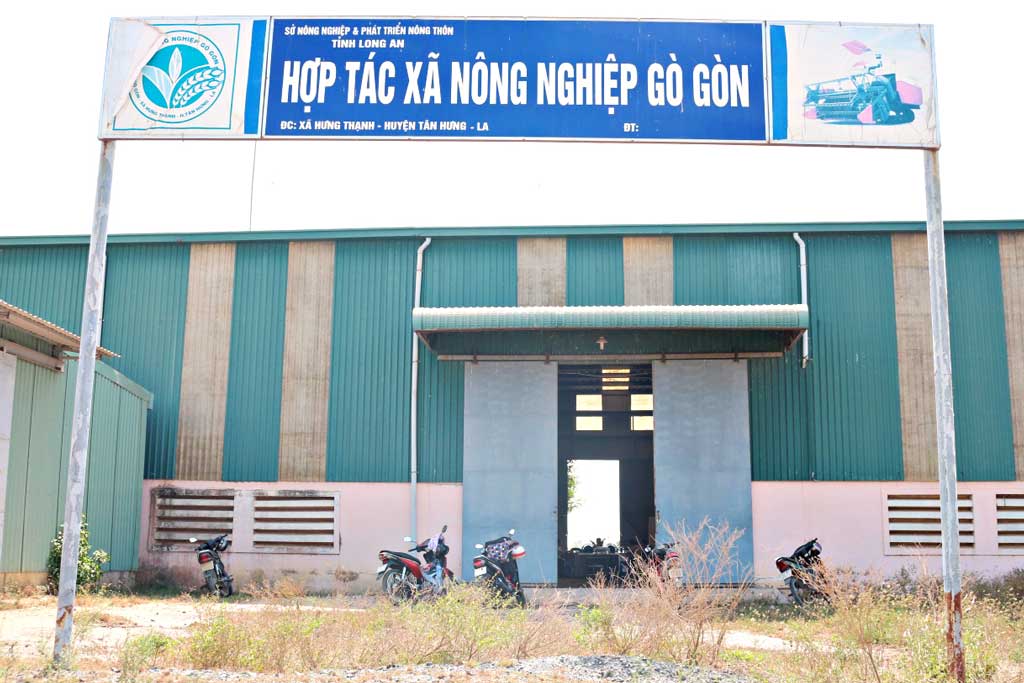 Hiệu quả sản xuất lúa theo VietGAP Hợp tác xã Gò Gòn là hợp tác xã đầu tiên của tỉnh được chứng nhận VietGAP