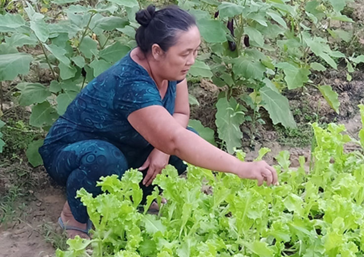 Bà Ngân chăm sóc vườn rau trồng theo phương thức hữu cơ