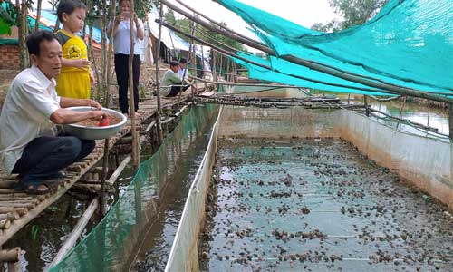 Nhiều mô hình chăn nuôi hiệu quả  Cổng thông tin điện tử Bà Rịa  Vũng Tàu
