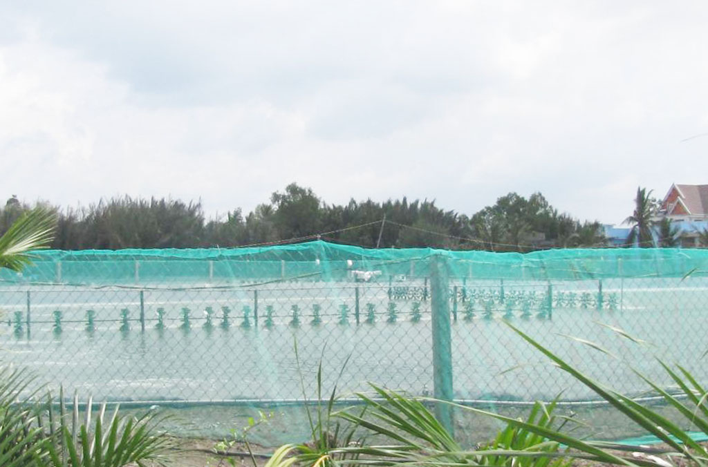 Khôi phục gần 60ha đất nông nghiệp bỏ hoang tại Tân Chánh và Long Hựu Tây Một khu ao nuôi tôm diện tích 02ha được chuyển đổi từ vùng đất bỏ hoang thuộc địa ấp Đông Trung, xã Tân Chánh.