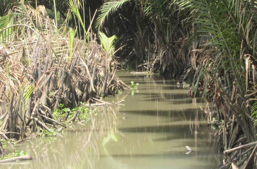 Rạch Sông Lu đang được huyện Cần Đước cho nạo vét nhằm thúc đẩy việc nuôi tôm trên địa bàn xã Tân Chánh.