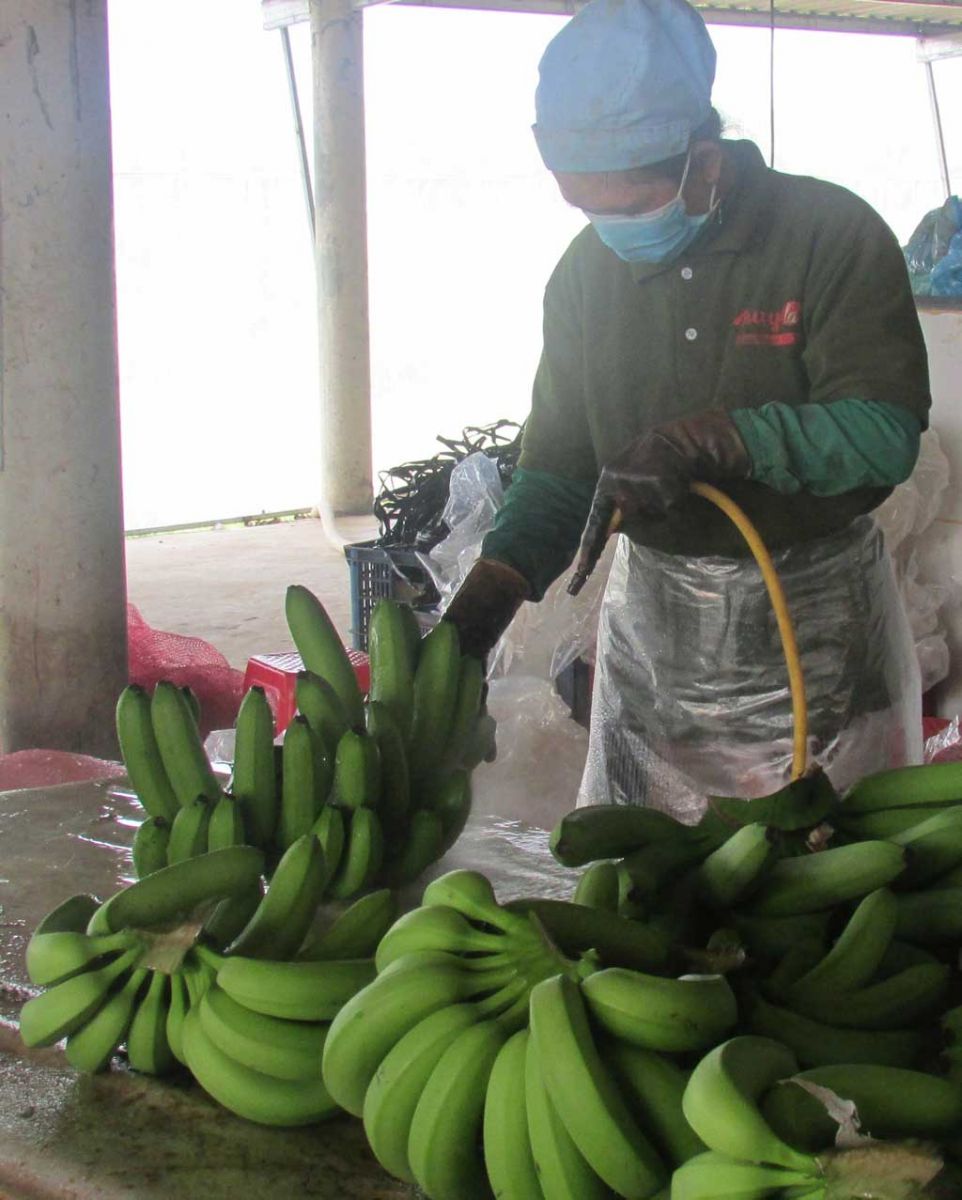 Clean production for safe products