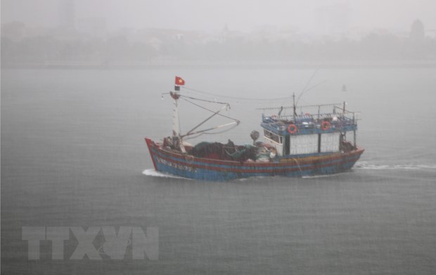 Tàu thuyền di chuyển vào neo đậu tại khu tránh trú bão Nhật Lệ. (Ảnh: Văn Tý/TTXVN)