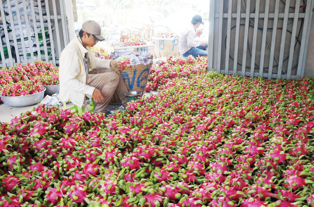 Xã nông thôn mới nâng cao phải có ít nhất 1 mô hình sản xuất ứng dụng công nghệ cao hoặc chế biến sản phẩm an toàn sạch, hoặc sản xuất theo hướng hữu cơ