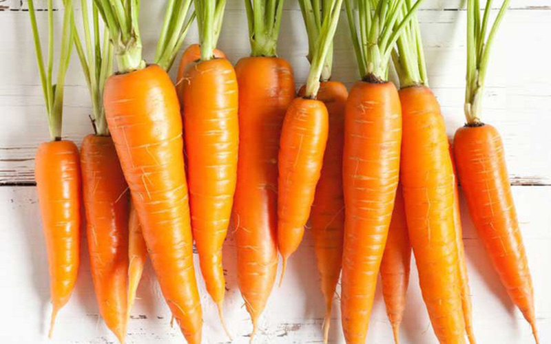 Cũng giống như tỏi và nghệ, cà rốt cũng có đặc tính chống oxy hóa cao. Đặc biệt, trong cà rốt còn chứa rất nhiều các vitamin, khoáng chất và các chất xơ cần thiết cho cơ thể, giúp giảm axit béo và loại bỏ chất độc khỏi gan.