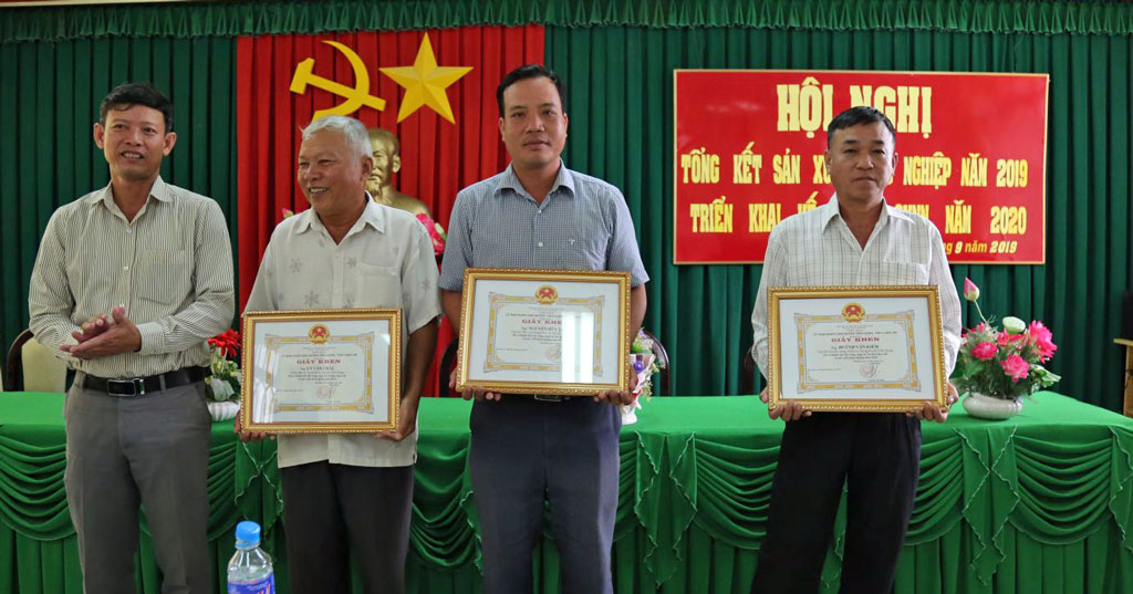 Vĩnh Hưng: Năm 2019, sản lượng lúa đạt gần 345.000 tấn