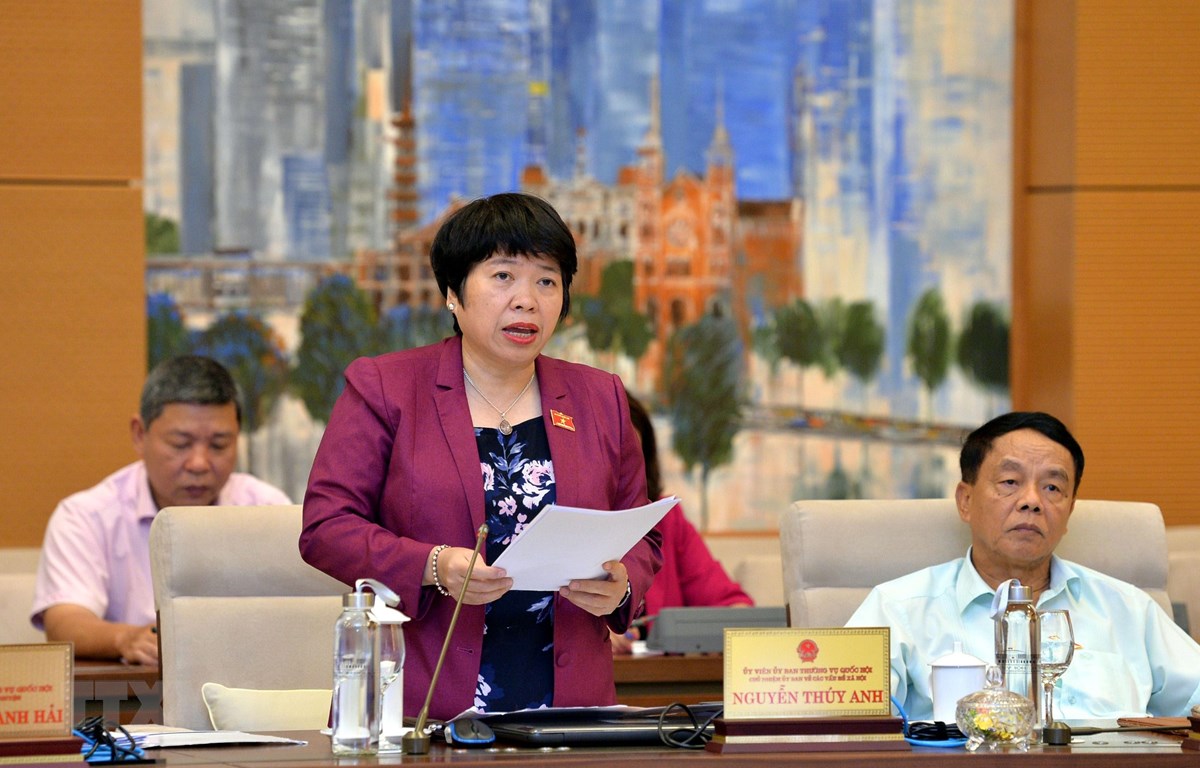 Chủ nhiệm Ủy ban các vấn đề Xã hội của Quốc hội Nguyễn Thúy Anh trình bày báo cáo tại phiên họp. (Ảnh: Trọng Đức/TTXVN)