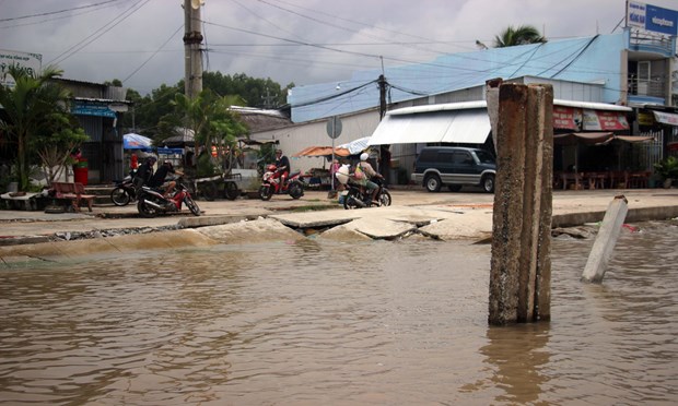 Erosion pushes Ca Mau’s eastern coast to emergency status Erosion in Ca Mau province is so serious that even the anti-erosion structure for the area of Dat Mui Market in Ngoc Hien district has been damaged (Photo: VNA)