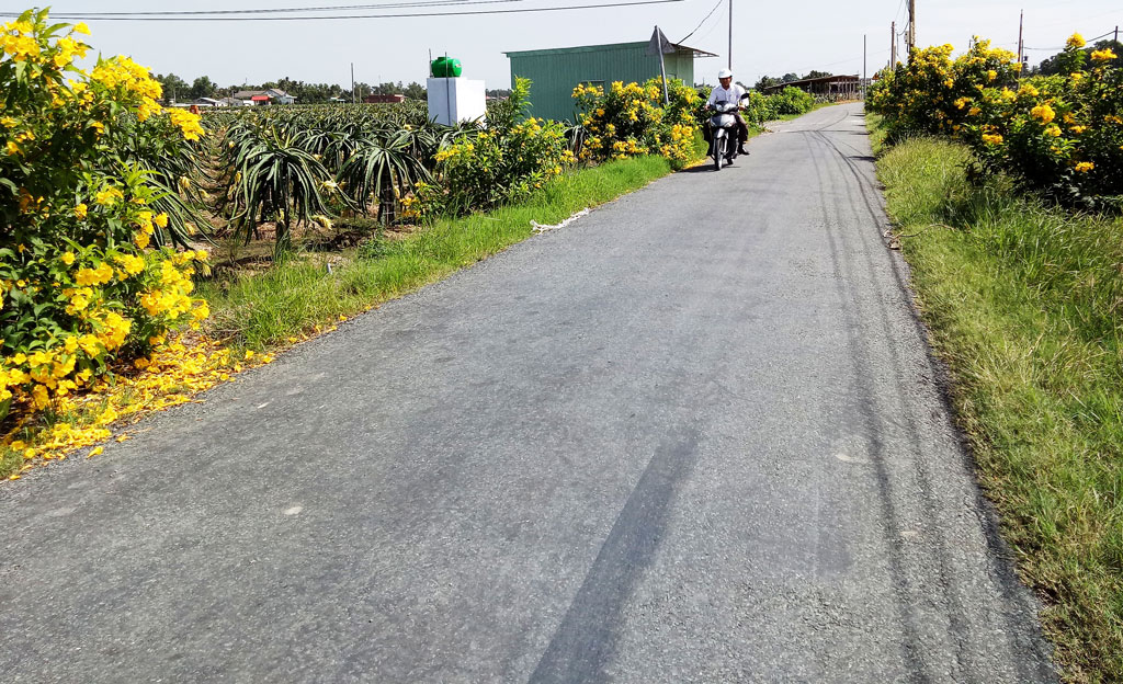 Hướng đến xây dựng nông thôn mới bền vững
