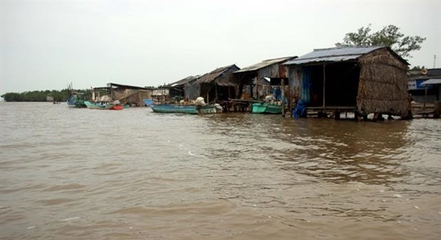 Mekong Delta coastal, river erosion becoming severe Houses along Vam Xoay estuary in Ca Mau province’s Ngoc Hieu district are threatened by erosion (Photo: VNA)