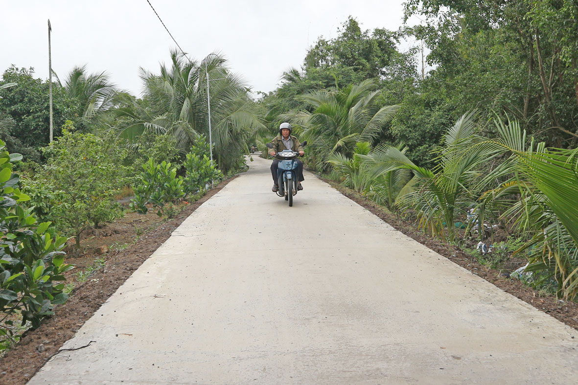 Hội viên cựu chiến binh không chỉ hiến đất, góp tiền làm đường mà còn tham gia trồng cây xanh tạo cảnh quan môi trường