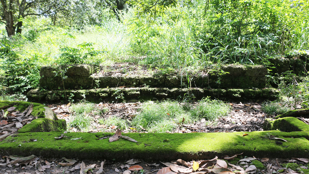 Các phiến đá ngàn năm tuổi bị rêu, cỏ phủ kín