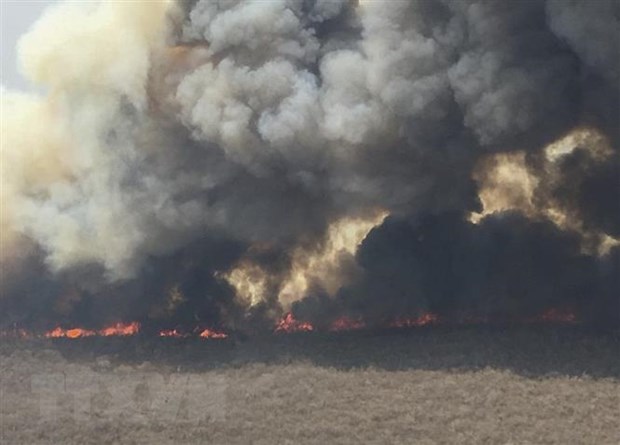 Khói bốc lên từ đám cháy rừng tại San Jose de Chiquitos ở Santa Cruz, Bolivia, ngày 9/9/2019. (Ảnh: AFP/ TTXVN)