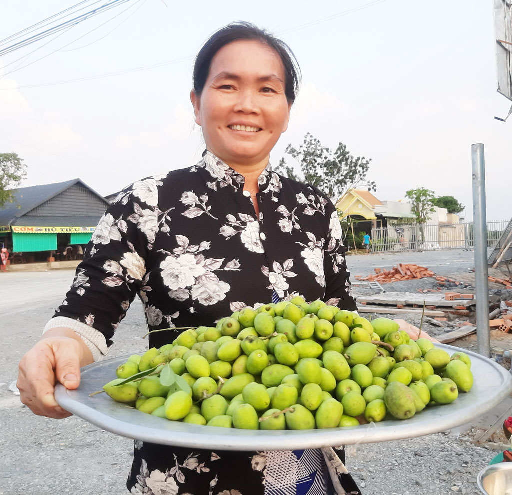 Cà na giúp nhiều người có thêm thu nhập trang trải cuộc sống