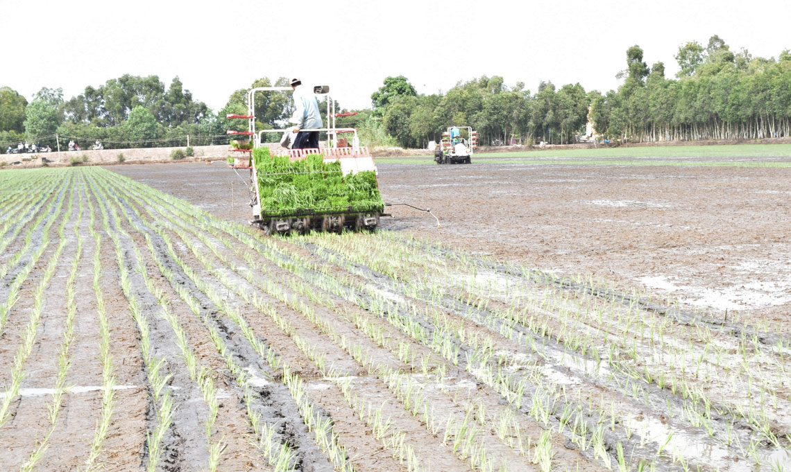 Phát triển nông nghiệp ứng dụng công nghệ cao là hướng đi tất yếu