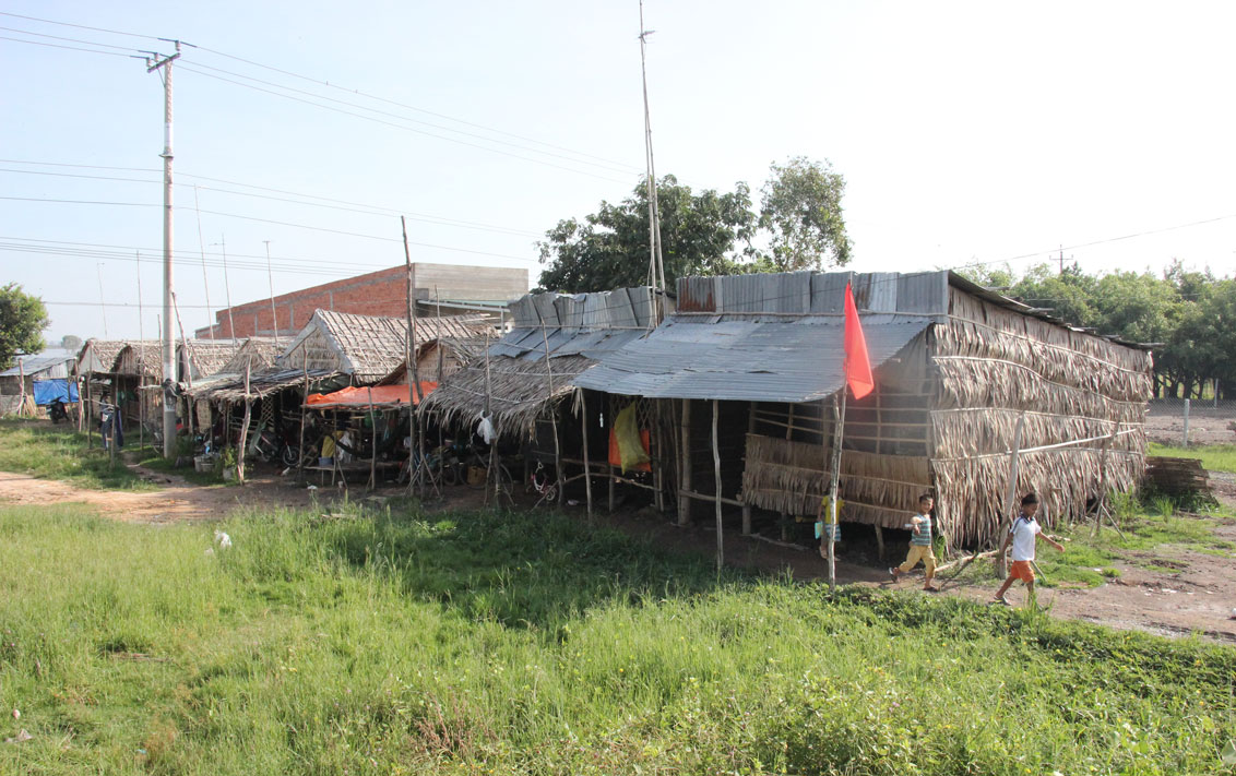 Xóm Việt kiều ở Tuyên Bình, huyện Vĩnh Hưng có hơn 30 hộ dân di cư từ biển hồ Tonle Sap (Campuchia) về tạm cư hơn 10 năm nay. Nhờ sự quan tâm của chính quyền địa phương, đa số các gia đình tạm ổn định đời sống hơn trước