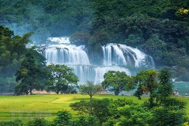 Ban Gioc waterfall festival kicks off in Cao Bang Ban Gioc is the largest natural waterfall in Southeast Asia and also the world's fourth-largest cross-border waterfall (Photo: VNA)