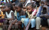 Xung đột khiến hơn 2 triệu trẻ em Tây và Trung Phi không thể đến lớp