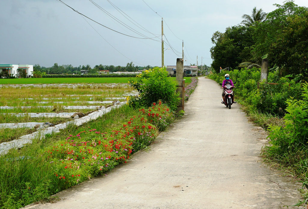 Đường giao thông nông thôn trong tỉnh được xây dựng với phương châm Nhà nước và nhân dân cùng làm