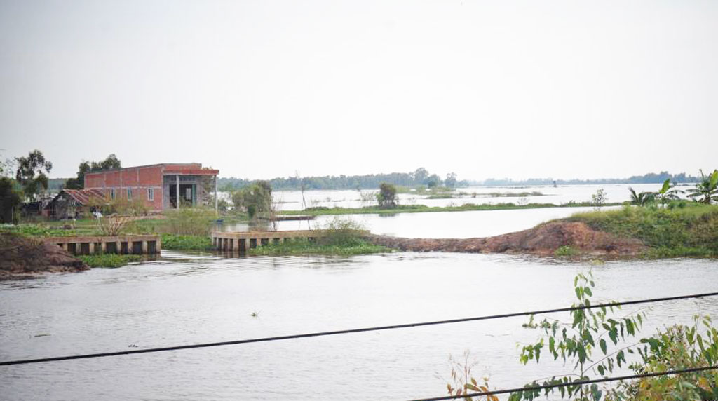 Mộc Hóa: Ấp 7, xã Tân Lập 'khát' điện, nước và cầu qua kênh 79