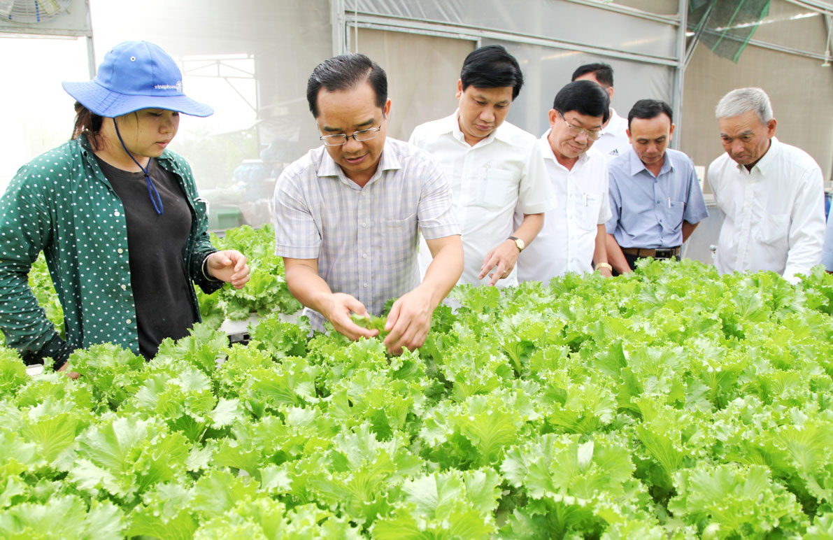 Phó Bí thư Thường trực Tỉnh ủy Long An - Nguyễn Văn Được tham quan khu vực trồng rau thủy canh của Hợp tác xã