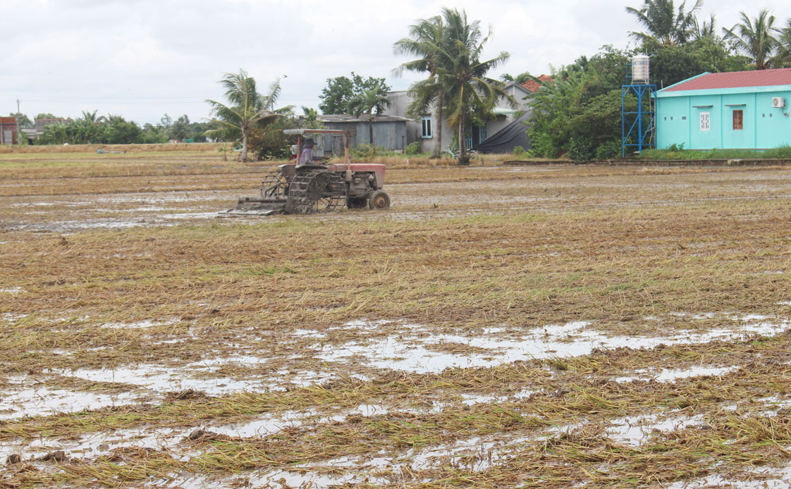Nông dân chủ động làm đất trước khi gieo sạ lúa vụ Đông Xuân 2019-2020