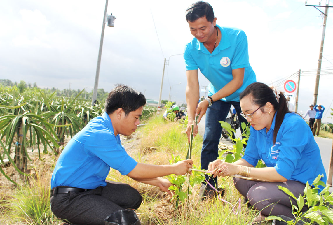 Đoàn viên, thanh niên tham gia dọn cỏ, thu gom rác thải nhằm bảo vệ môi trường